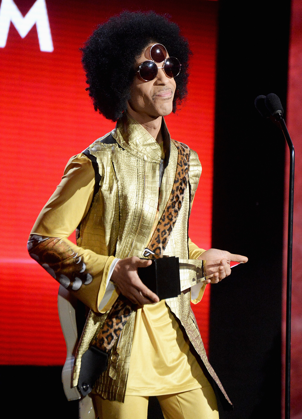 Prince 2015 (2)